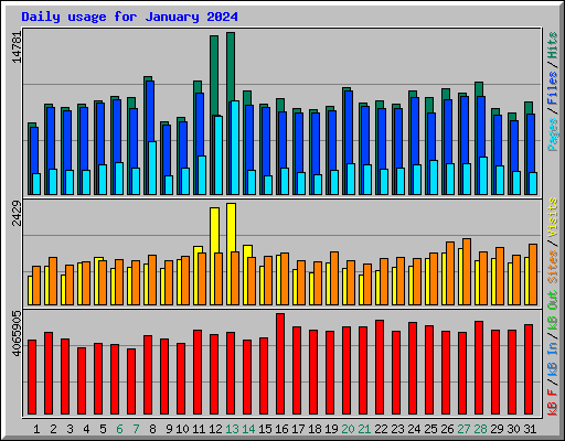 Daily usage for January 2024