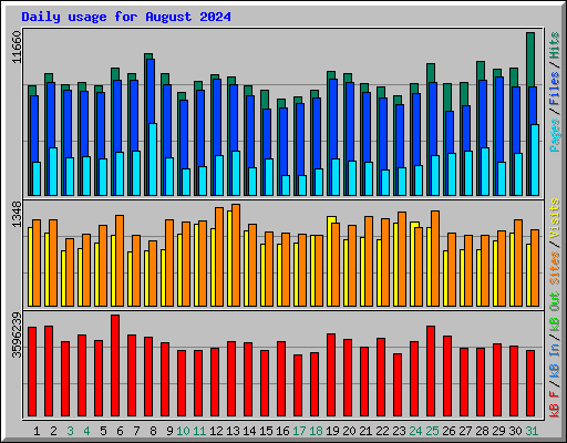 Daily usage for August 2024