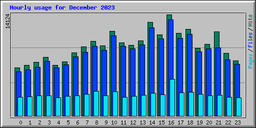 Hourly usage for December 2023