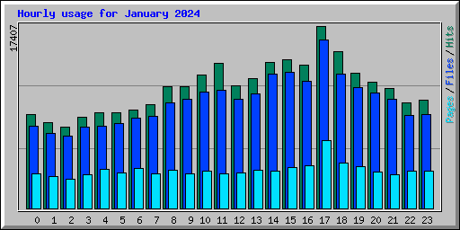 Hourly usage for January 2024