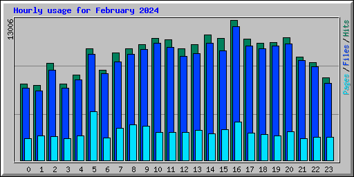 Hourly usage for February 2024