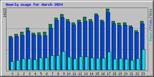 Hourly usage for March 2024