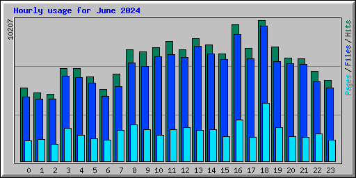 Hourly usage for June 2024