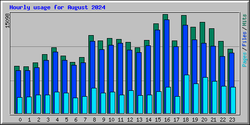 Hourly usage for August 2024