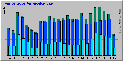 Hourly usage for October 2024