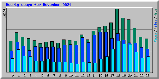 Hourly usage for November 2024